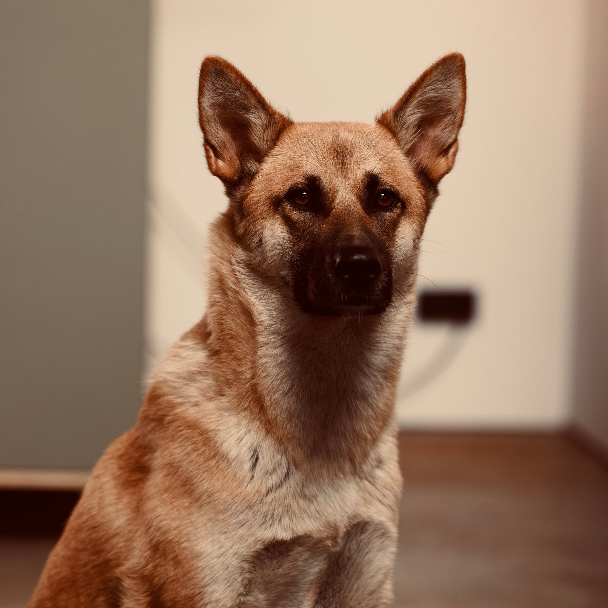 Black Sense Manufaktur